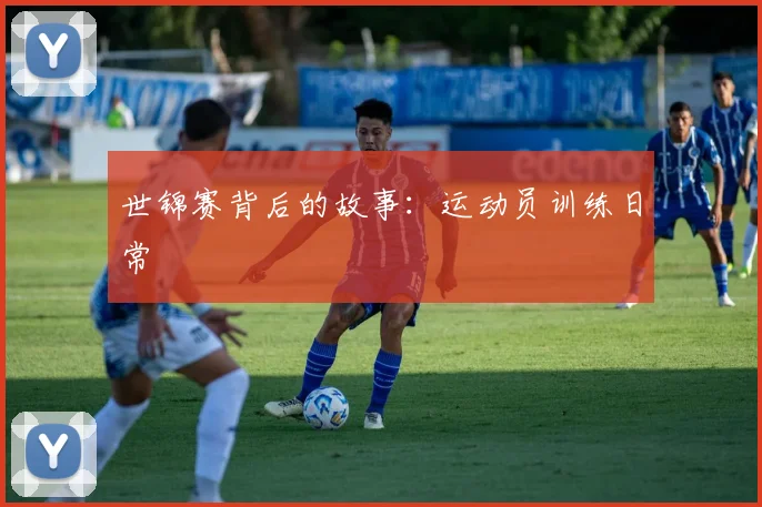 世锦赛背后的故事:运动员训练日常